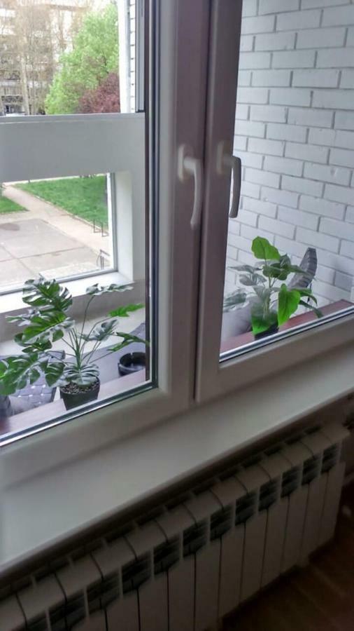 Apartman Oslo Beograd Bagian luar foto